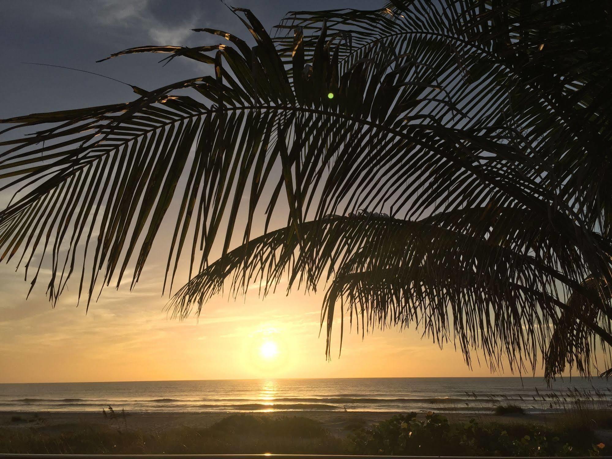 Surf Studio Beach Resort Cocoa Beach Εξωτερικό φωτογραφία